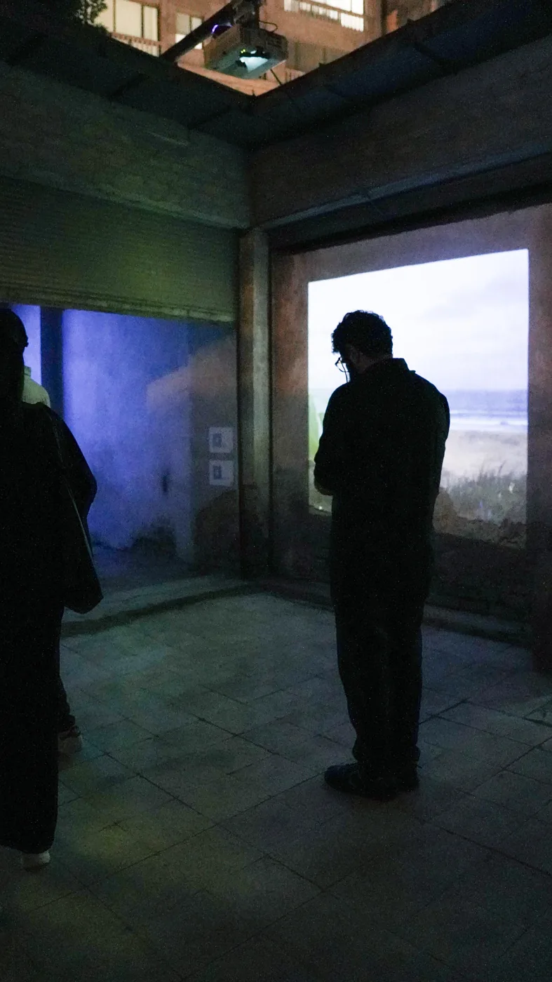 A visitor stands between projections in a darkened room.